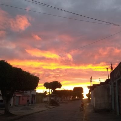 RoqueSo82904888's profile picture. roque