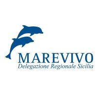 Marevivo Sicilia (@sicilymarevivo) 's Twitter Profile