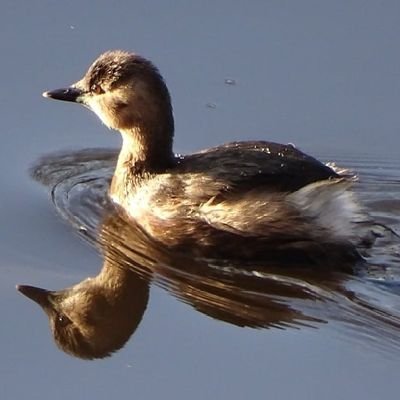 Enjoy wildlife and being in nature.  Take my camera along to record what I see, as my memory is rubbish.