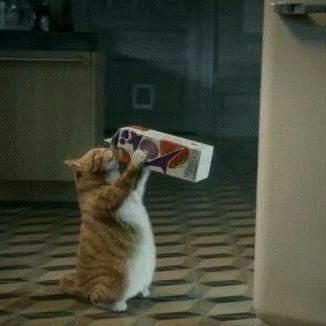 86Cemresolmaz's profile picture. :)