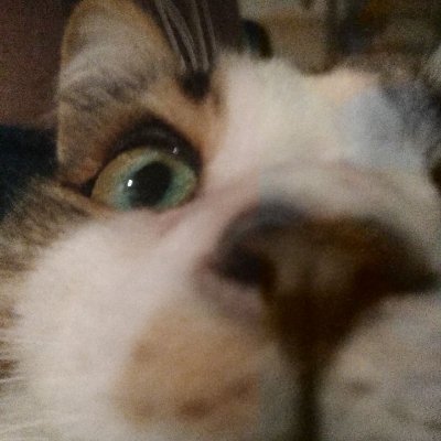 23 y.o., ukrainian mablet circleclicker | creator of https://t.co/9KgUOIHKd1 | OWC '24 | Web dev