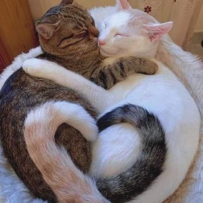 philosorock77's profile picture. 