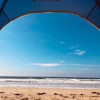 Curious Melbourne Couple (@curiousmelbcou1) 's Twitter Profile