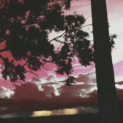 Kenny_HS1's profile picture. 🦋Creador de Frases 🦋Tiktok: @kennyhs 🦋Insta:@kennyhs60 🦋YouTube: KennyHS