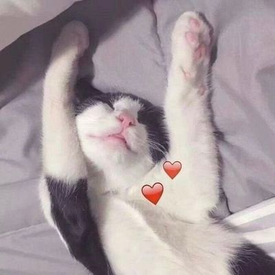 TgoTbte's profile picture. 