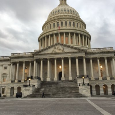 NJ_Vote's profile picture. 