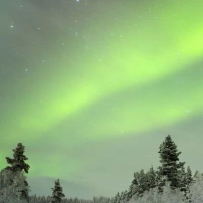 dBNZQbpZrONkbiF's profile picture. 