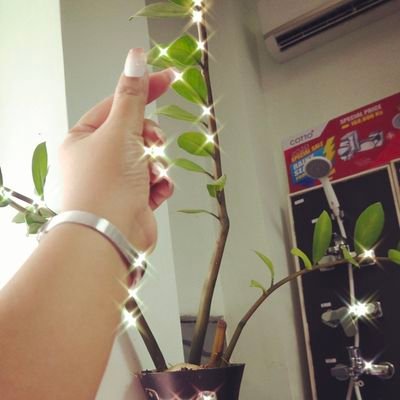 KyuLay19's profile picture. 😊😊😊