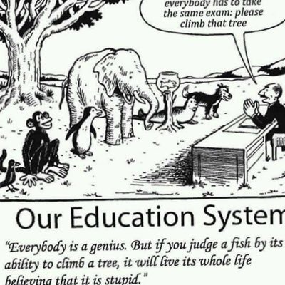 SteveJooooooo's profile picture. 