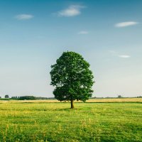 Clyde16 (@clydee016) 's Twitter Profile