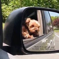 Liz57 (@liz5715) 's Twitter Profile