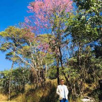 Scorpio T Pyay (@pyay_t) 's Twitter Profile