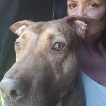 Renitamarks4's profile picture. dog lover and love politics! but let's do hair !