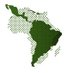 Red de Africanistas de América Latina (@redafricala) Twitter profile photo Red de Africanistas de América Latina (@redafricala) Twitter profile photo