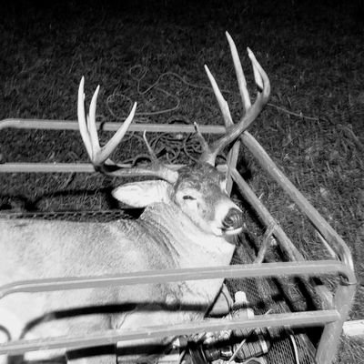 Duckhunter_1997's profile picture. Eating Free Range Organic before it was cool.  Hunter and Gatherer for my Family.