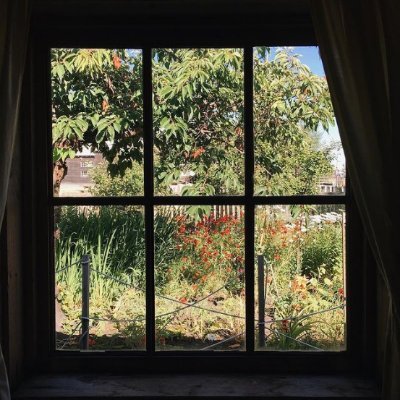 iSarah54's profile picture. 