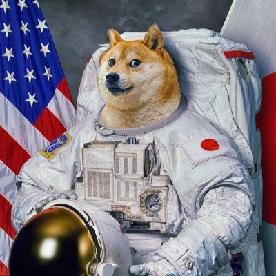 Doge Armstrong 🐕🚀