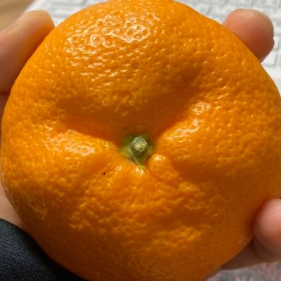 ishi_iwa_rock's profile picture. 普通が1番