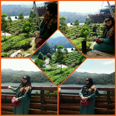 apriyani_aap's profile picture. 