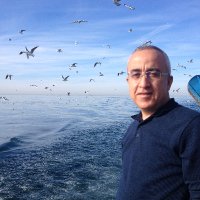 muharrem (@aksungurm) 's Twitter Profile