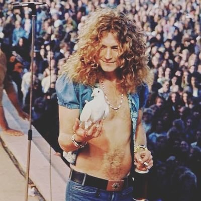 Zepplu_'s profile picture. Classic  !

  To be rock 
                      N
                           Not to roll. 🤘