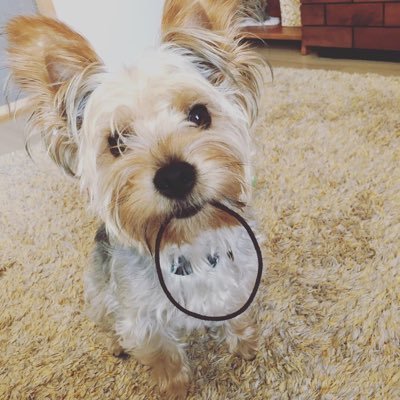 1zkcM0yXRpcZpsg's profile picture. 