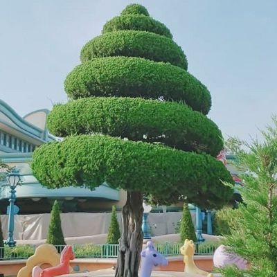 おいなり💀💍さんのプロフィール画像