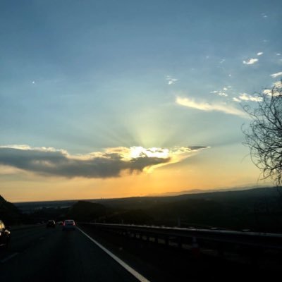 langtu85025456's profile picture. 流浪