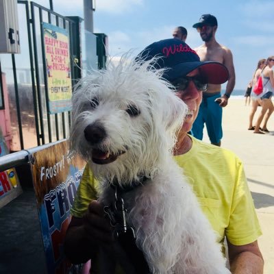 pztuc's profile picture. CORP CRISIS MANAGEMENT