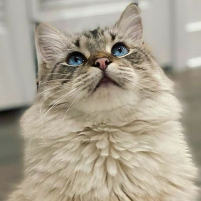 ainafero's profile picture. Coffee lover😋