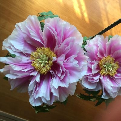 hanasyoubu126's profile picture. ❤️JAEJOONG大好きです ❤️ジェジュンの歌声に毎日癒されています😍ジェジュンに出会えて感謝💕です。無言フォローお許しください🙇‍♀️