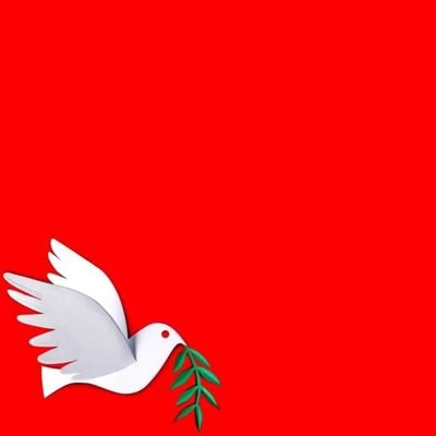 XtutMinn's profile picture. 