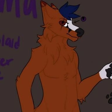 I'm a chill shapeshifting lewdy fox. Male, 25 https://t.co/zneqRKQDb7 (no art is mine unless stated otherwise pfp is mine.)
Minors DNI!!