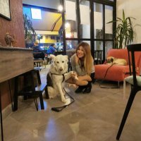 N. E. (@nuredige) Twitter profile photo