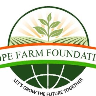 Sawo6Fatou's profile picture. A gender activist, social worker and a farmer