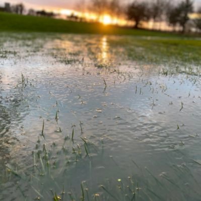 Springishere6's profile picture. 