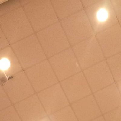 teamtennnn's profile picture. We're just trying to change the world.