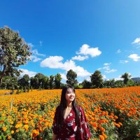 HSYW (@hninsywin) 's Twitter Profile