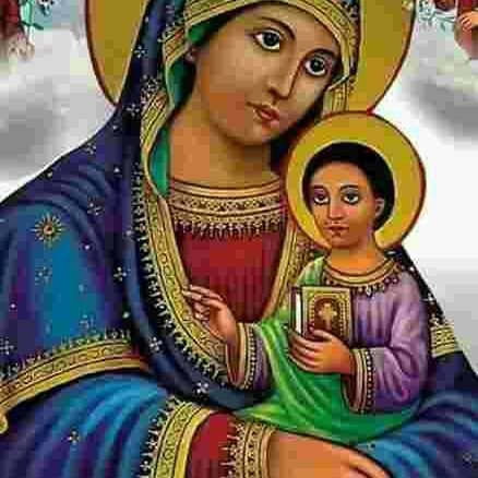 Seyoum53350013's profile picture. 