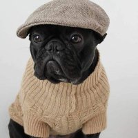 Jose Lova (@joselova2) Twitter profile photo