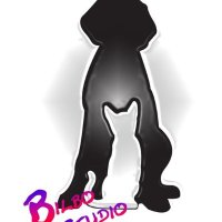 Bilbo Studio(@BilboStudio) 's Twitter Profile Photo