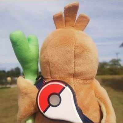 相棒のネギ丸(カモネギ)とポケモンGOを冒険してます黄色TL45です❗️ARポケ写でポケモン達の生きた姿を撮影することにハマってます📸元気に楽しく♪笑顔で生きる為😆
毎日ポケモン達と農業野菜育ててます🥗位置ゲー大好き🐣おもちゃ玩具大好き🤖＋モンハンNOWでハンターもやってます🍖