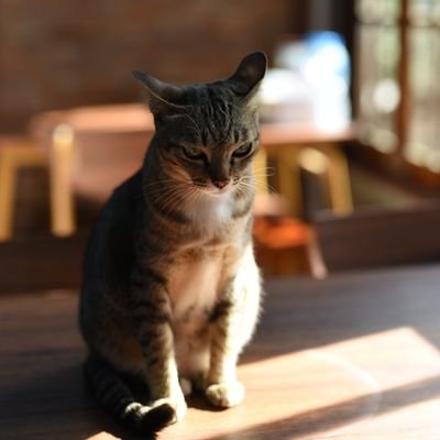 nirone72's profile picture. life and learn