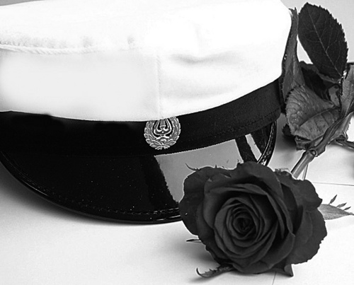 AxLyceum's profile picture. Ålands lyceums officiella Twitter som berör vår skola. Här finns även tweets från universitet främst i Norden, nyheter inom naturvetenskap, humaniora mm.