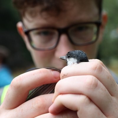 Ornithologist, biogeographer, islomane.