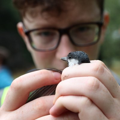 Studies biogeography, has worked @DBNherbarium (postdoc, mosses and liverworts) and @TCD_NatSci (PhD, birds).