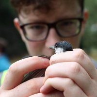Fionn Ó Marcaigh (@scaladoir) 's Twitter Profile