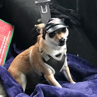 PalmquistDebra's profile picture. Anything I say on social media, I will say directly to your face. I am just like that. If your comments are turn off, you will be blocked.