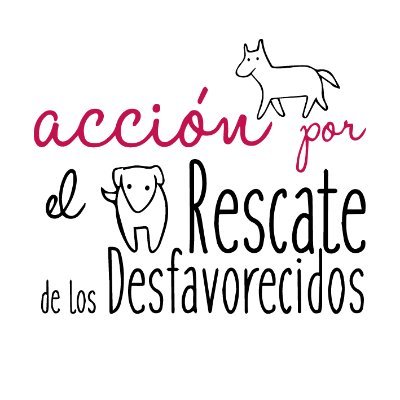 Gestionamos adopciones de animales abandonados. Somos varixs chicxs unidas para dar una mejor vida a los desfavorecidos. 🐶🐱

📣 Únete a nuestro teaming!