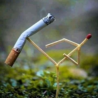 BadAntonio4's profile picture. Arsenal die hard